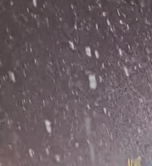 最冷不過(guò)倒春寒，三月又見(jiàn)桃花雪，香香市的天氣有點(diǎn)反常哦！