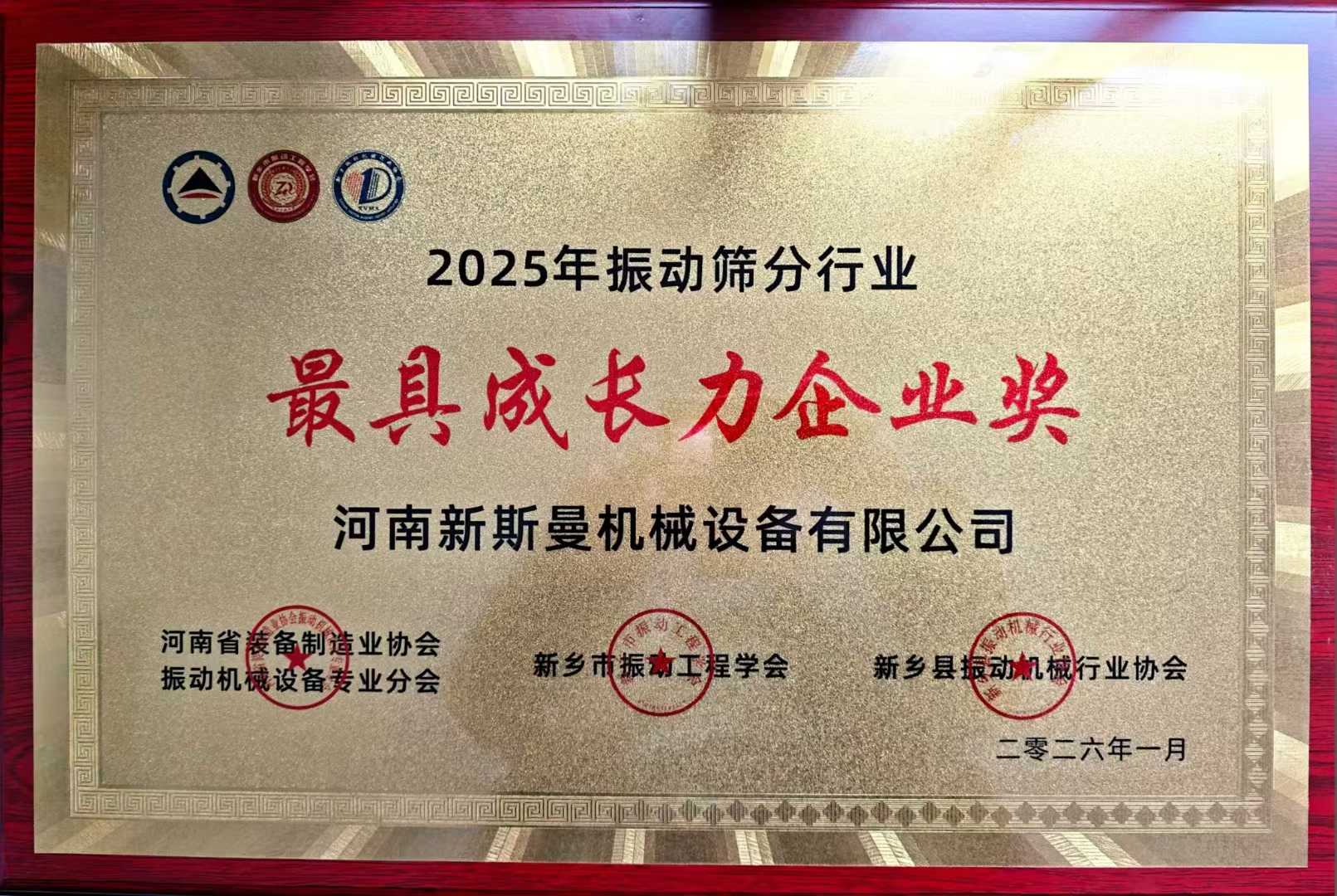 2025年振動篩分行業(yè)最具成長力企業(yè)獎